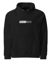 Unisex prémium kapucnis pulóver - Vagány elől hátul Why not felirattal