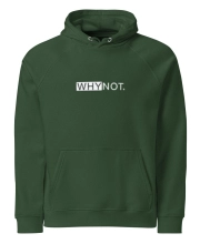 Unisex prémium kapucnis pulóver - Vagány elől hátul Why not felirattal