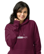 Unisex prémium kapucnis pulóver - Vagány elől hátul Why not felirattal