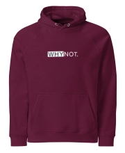 Unisex prémium kapucnis pulóver - Vagány elől hátul Why not felirattal