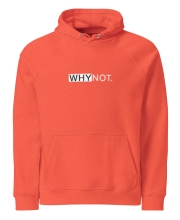 Unisex prémium kapucnis pulóver - Vagány elől hátul Why not felirattal
